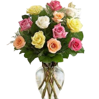 15 multi-colored roses | Flower Delivery Astrakhan